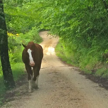Basaletto Agroturismo