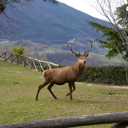 Basaletto Alojamento de Turismo Rural Assisi