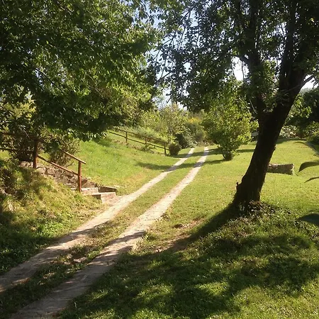 Alojamento de Turismo Rural Basaletto *