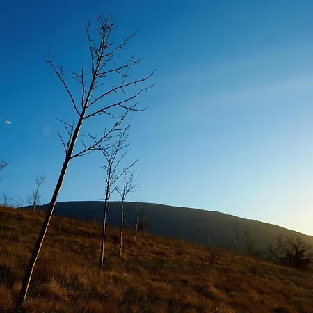 Basaletto * アッシジ