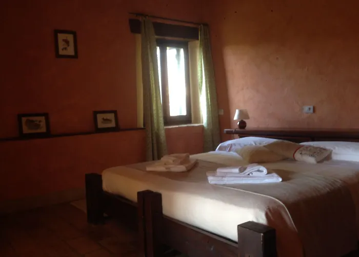 Farm stay Basaletto Assisi