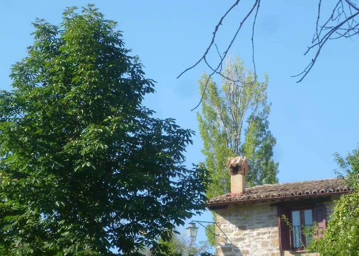 Farm stay Basaletto Assisi