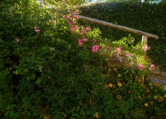 Basaletto Farm stay *