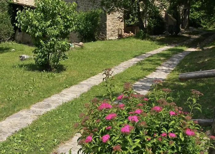 Basaletto Farm stay Assisi