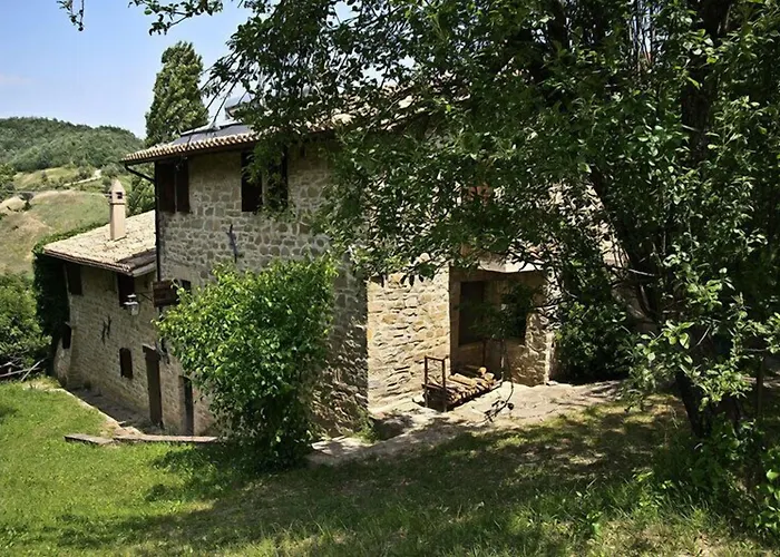 Farm stay Basaletto