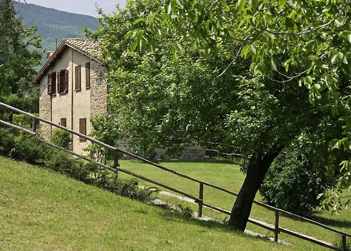 Farm stay Basaletto *